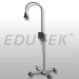 Halogen Lights